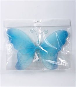 Picture of butterfly