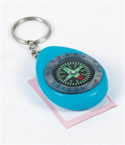 Picture of COMPASS