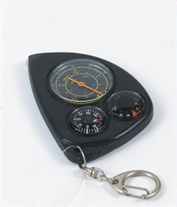 Picture of COMPASS