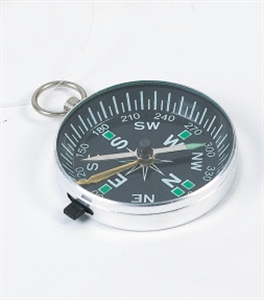 Picture of COMPASS