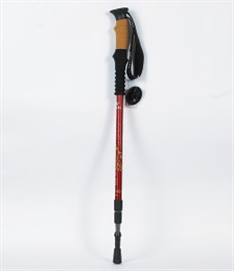 Picture of ski pole