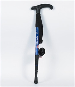 Picture of ski pole