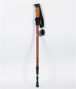 Picture of ski pole