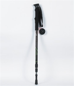 Picture of ski pole