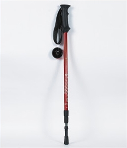 Picture of ski pole