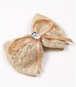 Image de HAIR CLIP