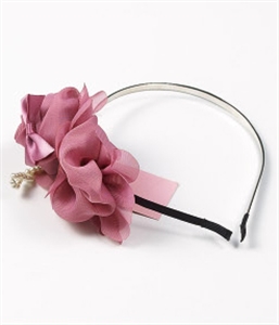 Image de HAIR CLIP