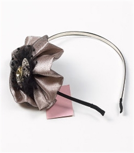 Image de HAIR CLIP