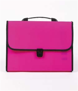 Picture of FILE BAG