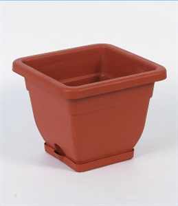 Picture of FLOWER POT