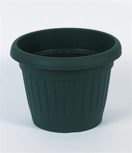 Picture of FLOWER POT