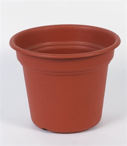 Picture of flowerpot