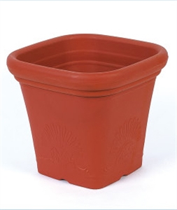 Picture of FLOWER POT