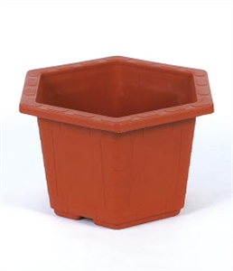 Picture of FLOWER POT