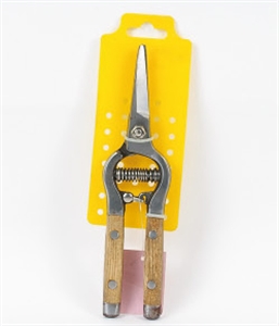 Image de PRUNING SHEARS