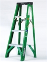 Picture of LADDER