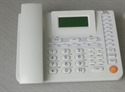 Picture of NET2006 IP Phone