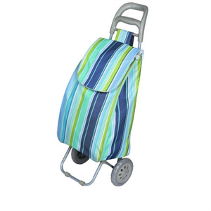 Shopping trolley bag XY-404B2