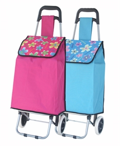 Image de Shopping trolley bag XY-406E