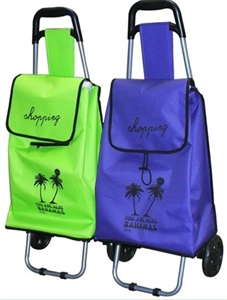 Image de Shopping trolley bag XY-405A1