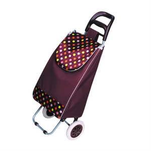 Shopping trolley bag XY-404D の画像
