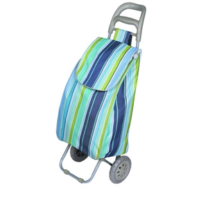 Picture of Shopping trolley bag XY-404B2
